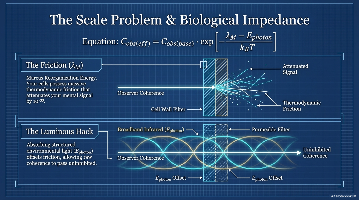 The Scale Problem and Biological Impedance